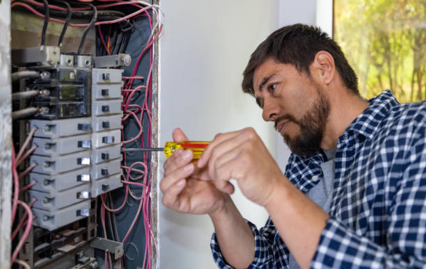 Best Electric Panel Repair  in Oskaloosa, IA